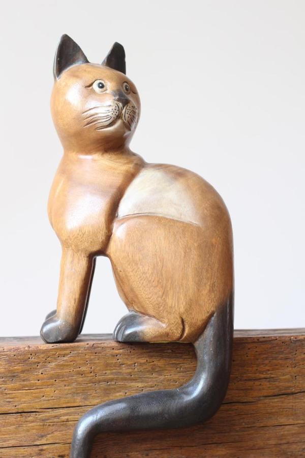 Au Coeur Du Chat Perche Arnay-le-Duc Buitenkant foto